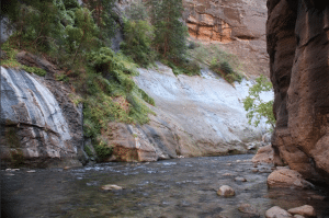 Virgin River